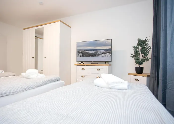 Deluxe For 5 - 2 Bedrooms - Free Private Parking - 5 Min To Slopes - Terrace Lägenhet Winterberg